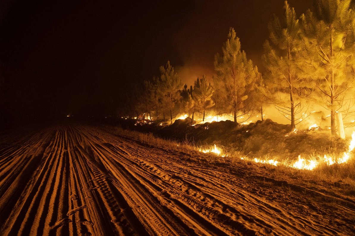 Mežu ugunsgrēks Argentīnā