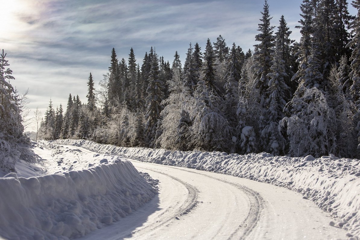 2022. gada Zviedrijas WRC posma ceļi