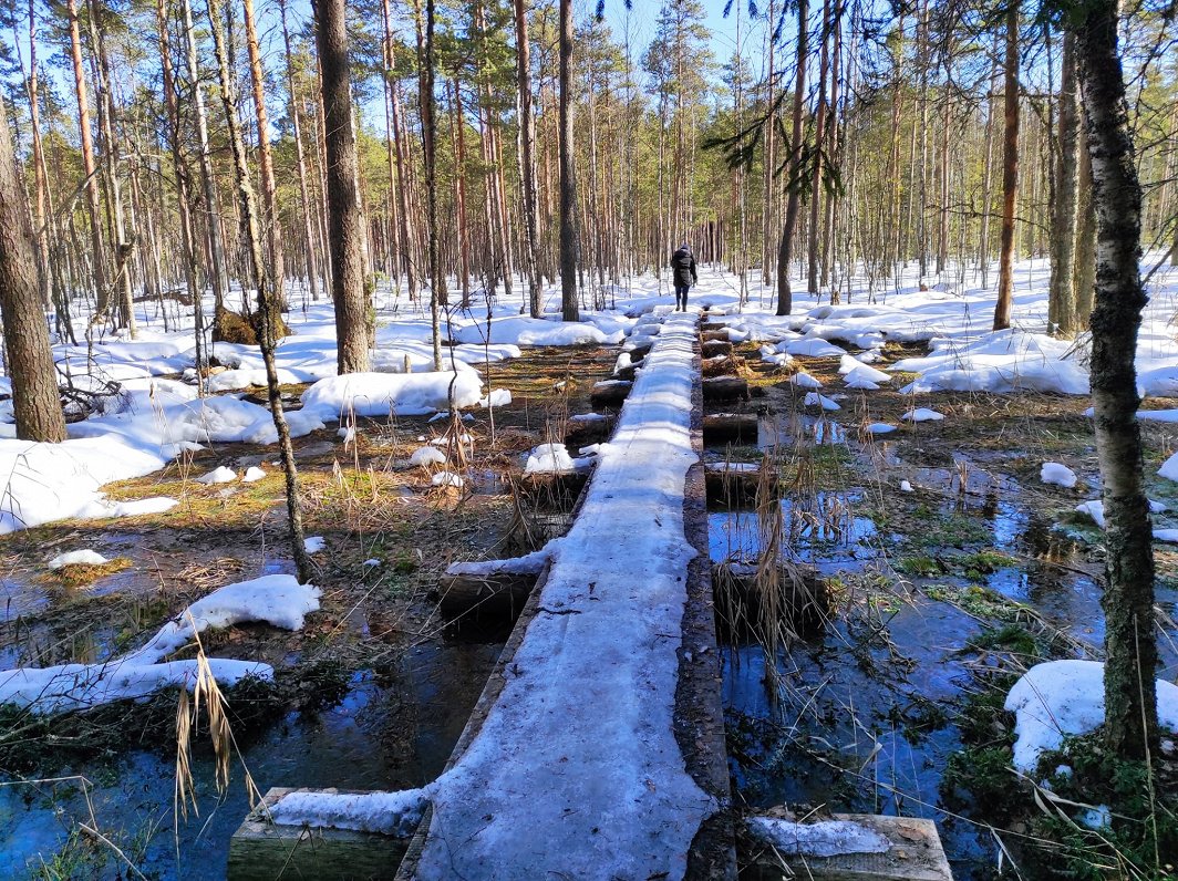 Latvijas nacionālo partizānu nometne un cīņu piemiņas vieta Stompaku purvā.