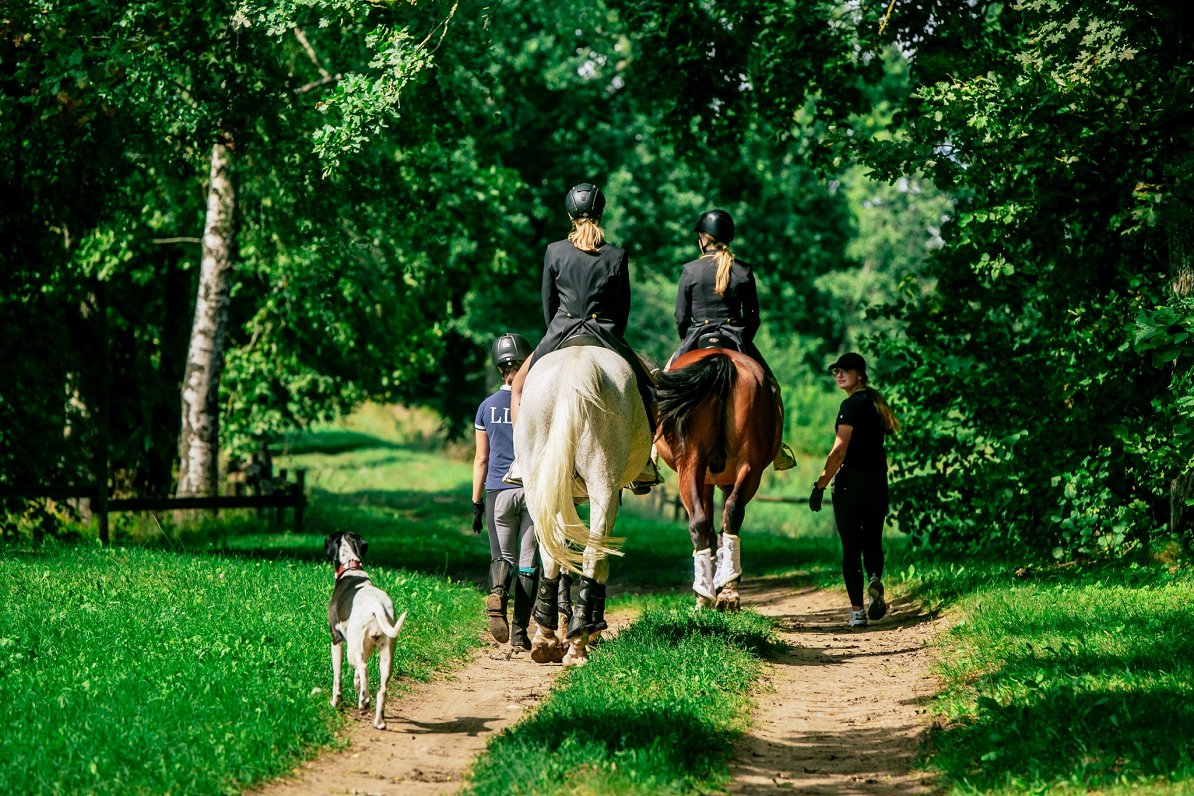 Izjāde ar LLU Zirgkopības mācību centra zirgiem Laso un Kārli. Palīdzes. Kreisajā pusē: veterinārmed...