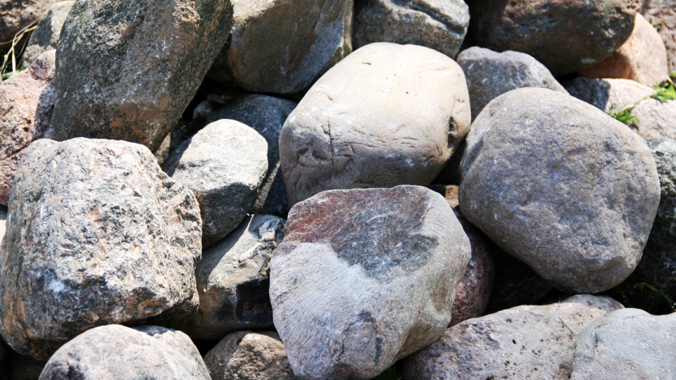 No aramās platības lauka izlasīti akmeņi