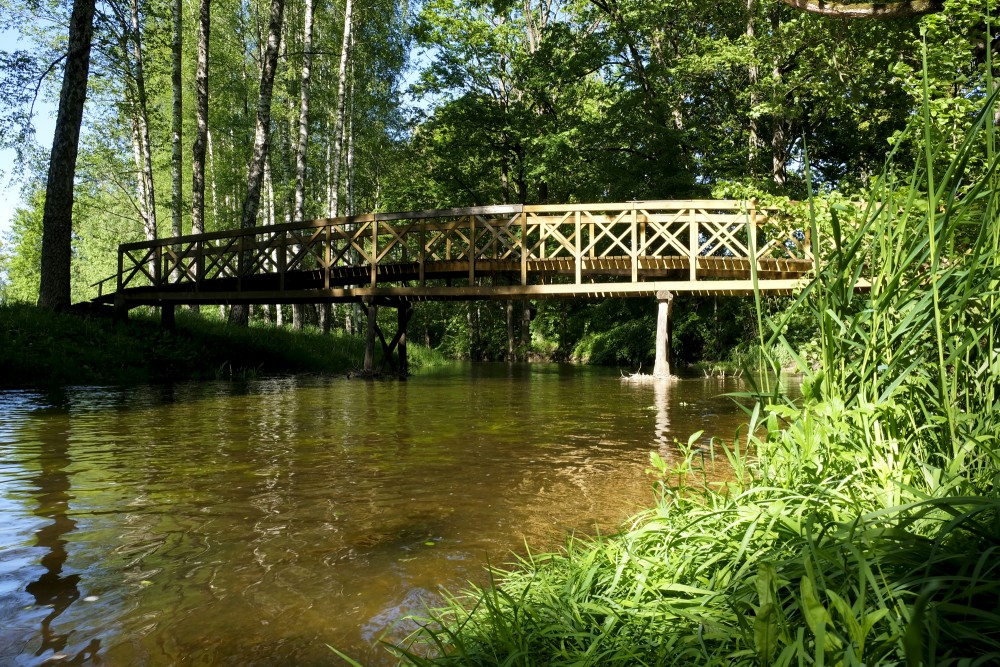 Koka tilts pār Auces upi Bēnē