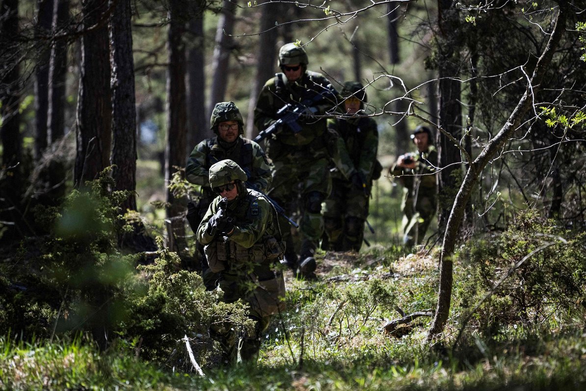 Extensive artillery, moral readiness and security on Gotland.  What will be the contribution of Finland and Sweden to NATO / Article