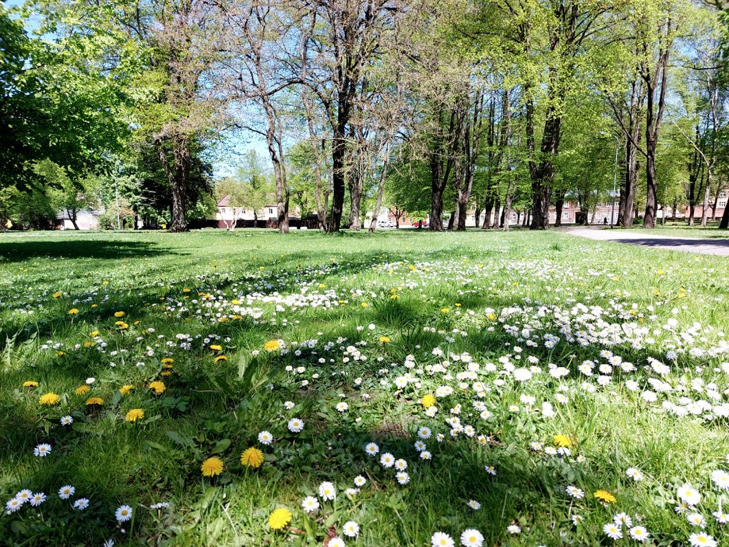 “Maskavas dārzs” Rīgā pārdēvēts par “Latgales parku”