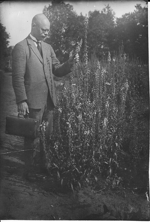 Botāniķis, ģenētiķis, Dr. rer. nat. Aleksandrs Zāmelis (1897-1943)