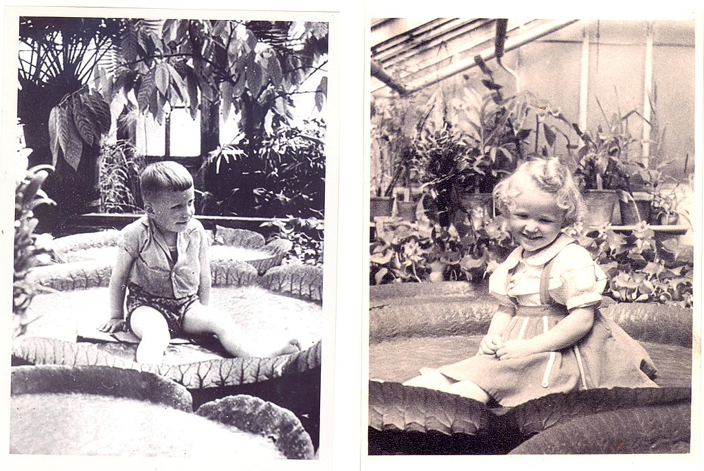 Bērni uz viktorijas lapas. 1950. gadi.