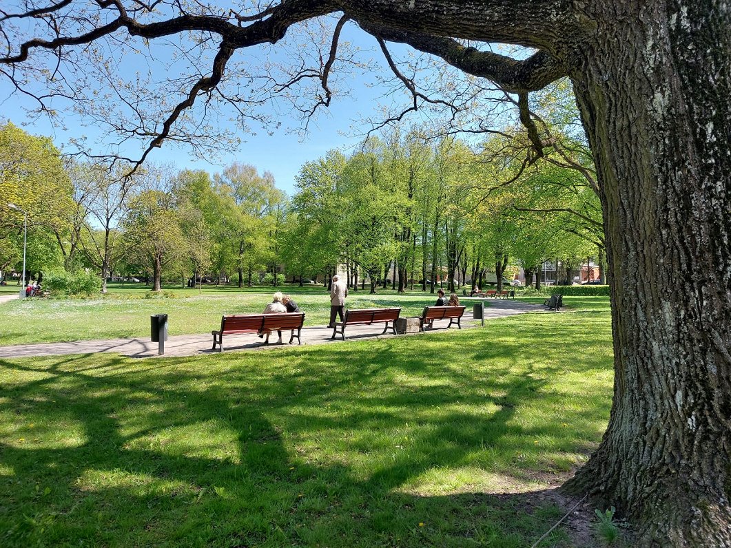 “Maskavas dārzs” Rīgā tiek pārdēvēts par “Latgales parku”