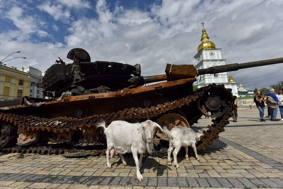 На выставке уничтоженной техники РФ. Украина, Киев, 21.05.2022