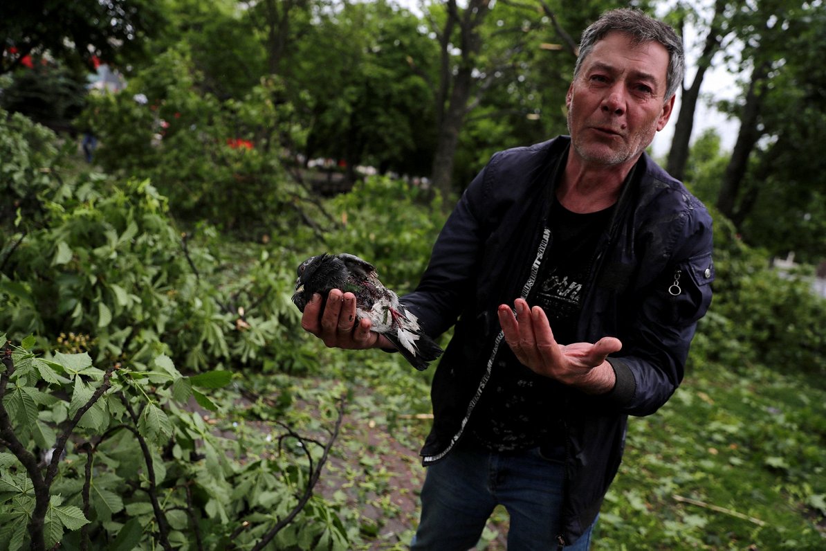 Птица, убитая осколком, и невредимый человек. Украина, близ Харькова, 26.05.2022