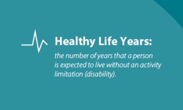 Healthy life years definition