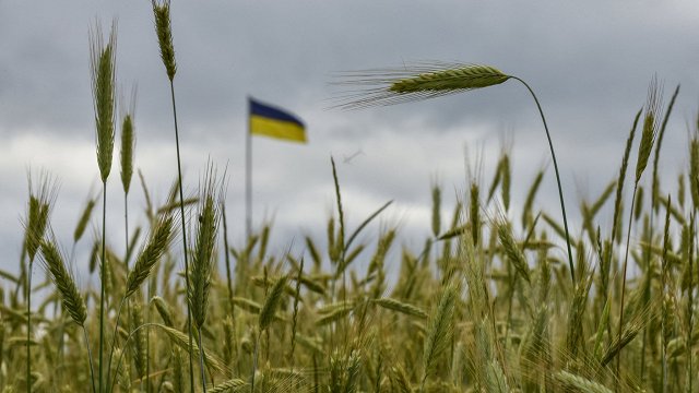 Kara izraisītie zaudējumi Ukrainas lauksaimniecībā var sasniegt 20 miljardus dolāru