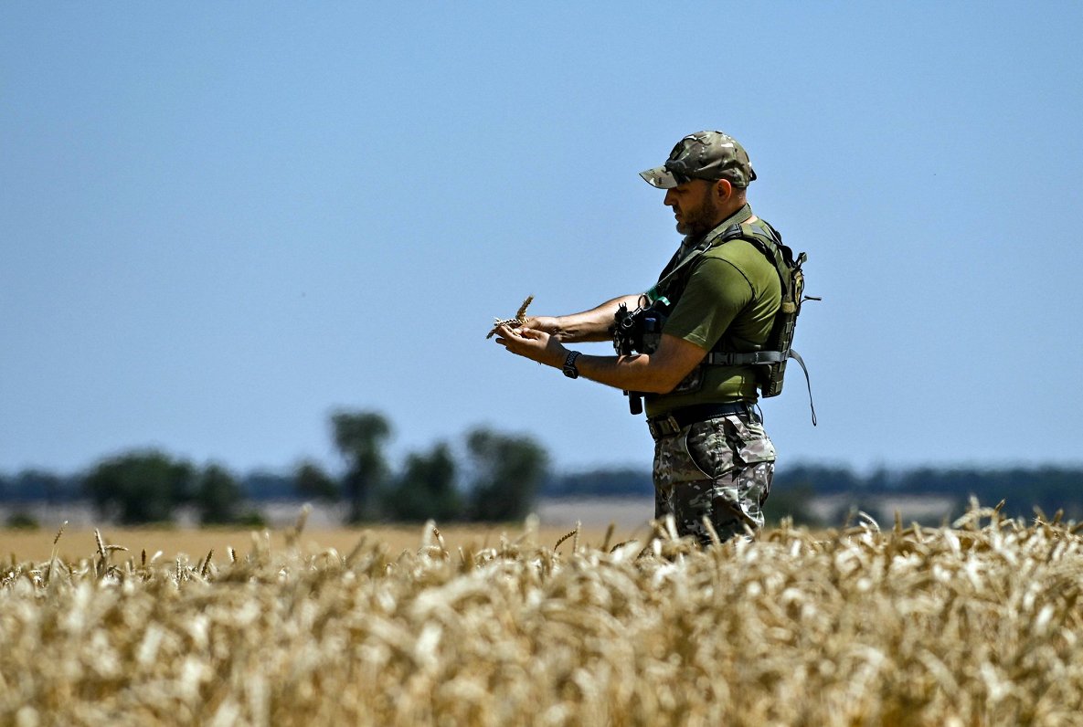 Ukraiņu karavīrs labības laukā Zaporižjas apgabalā
