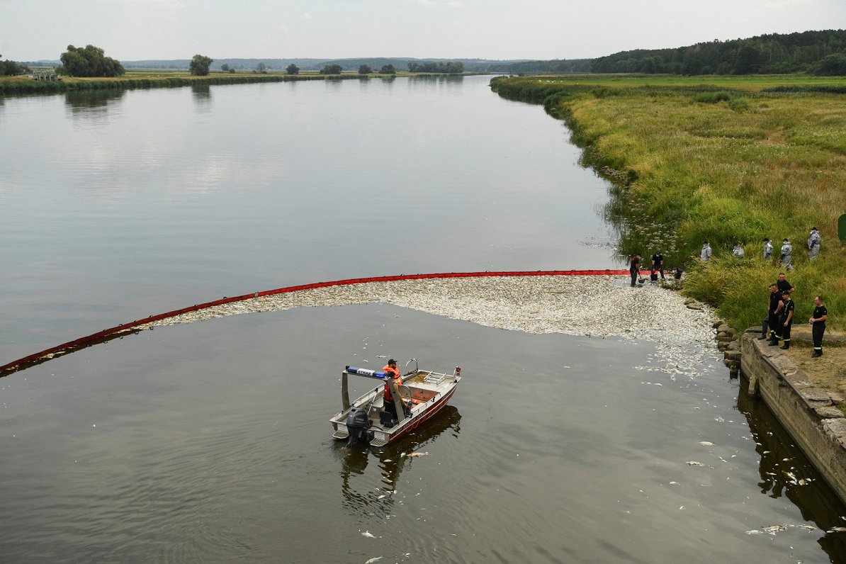 Masveida zivju bojāeja Oderas upē