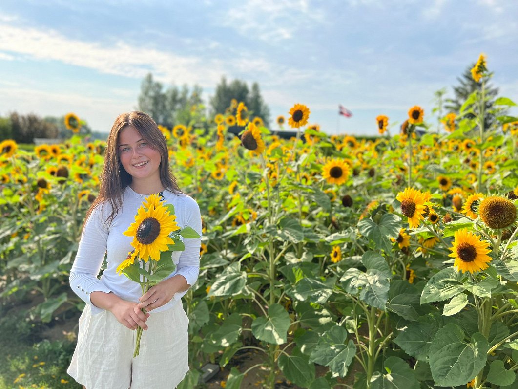 Ukrainas atbalstam sētās saulespuķes Ikšķilē