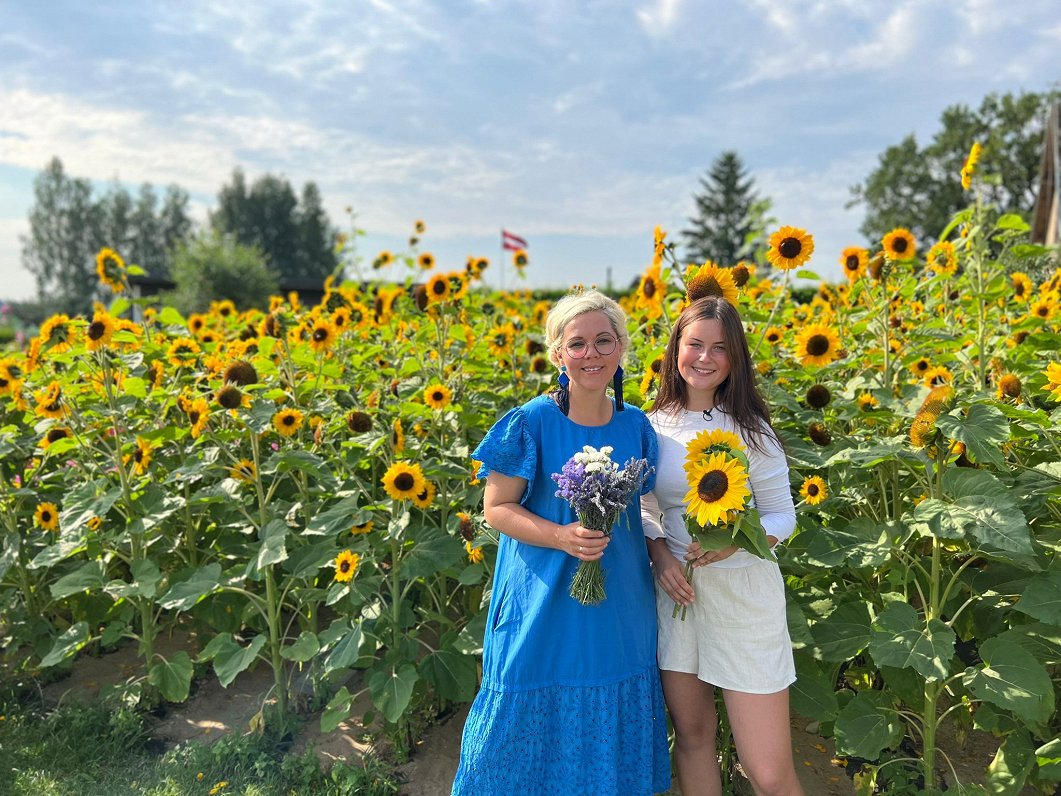 Latvijā koši uzziedējušas Ukrainas atbalstam sētās saulespuķes