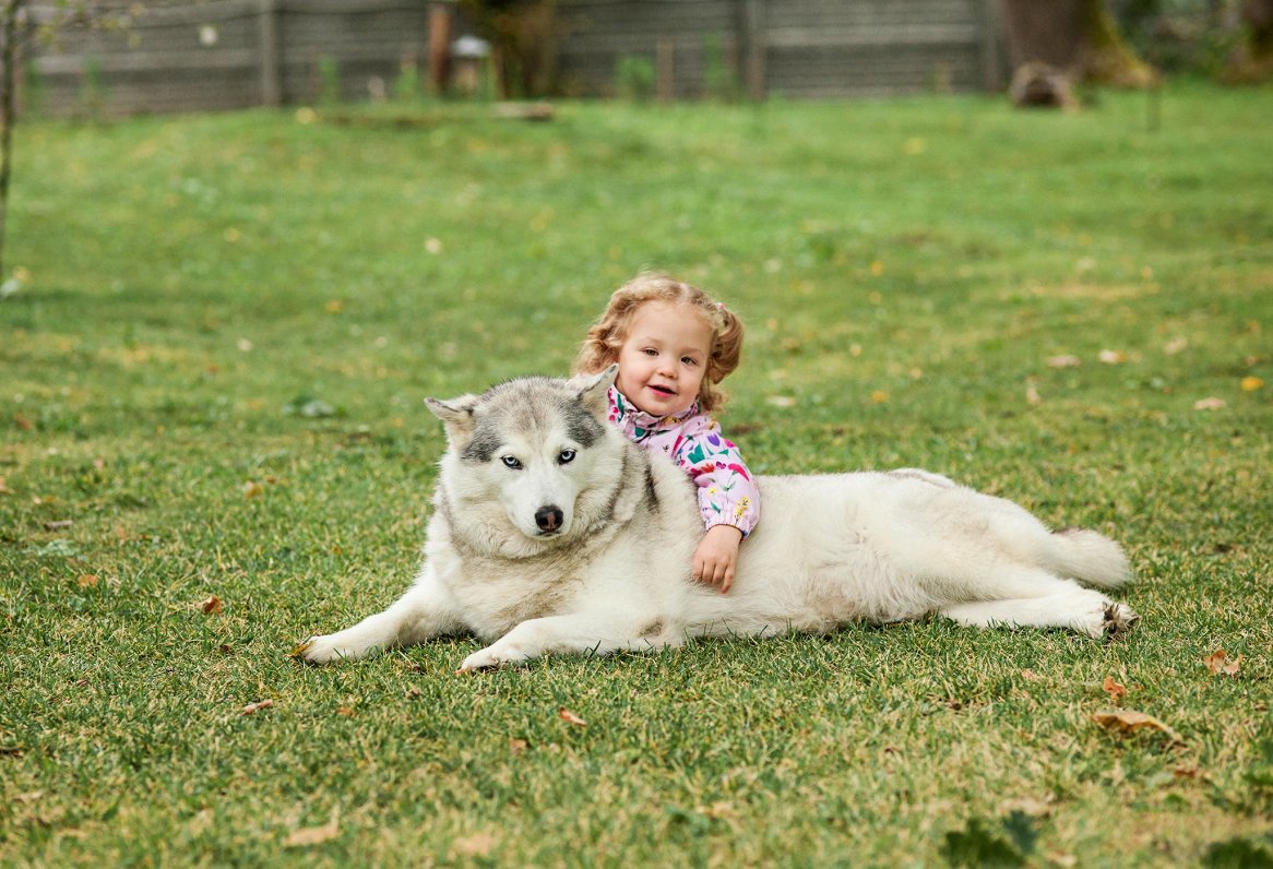 Девочка и собака. Иллюстративное фото