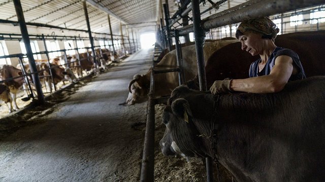 Ukrainas lauksaimnieki turpina darbu karadarbības draudu ēnā