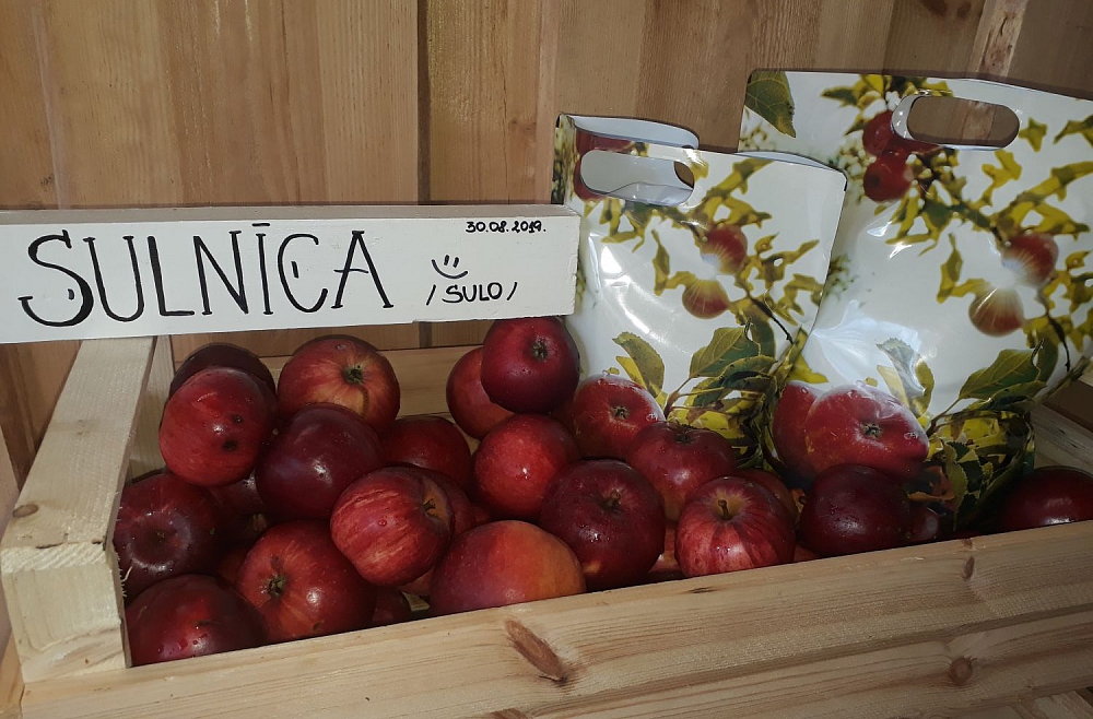 Laura Strautmane Vidrižu pagastā &quot;Sulnīcā&quot; spiež sulu no āboliem un citiem augļiem