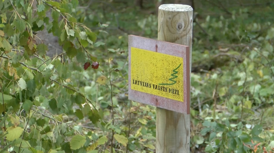 Latvijas valsts meži