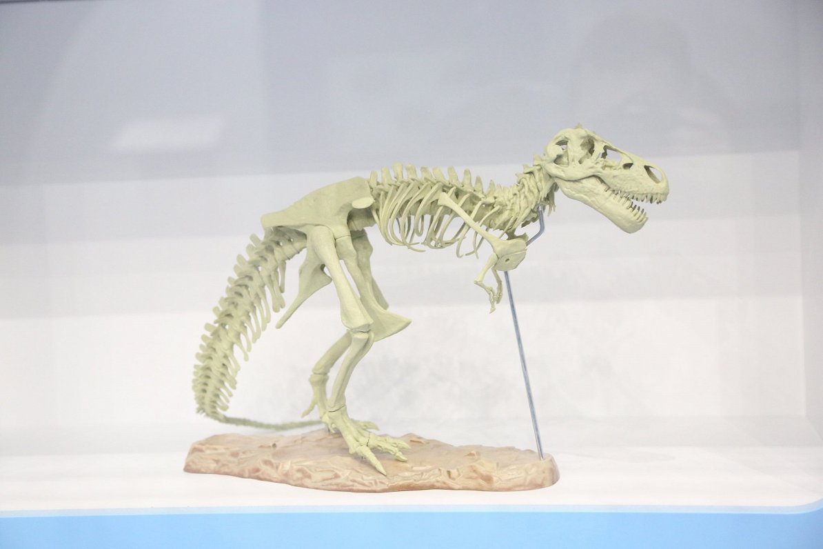 Модель скелета динозавра в даугавпилсском Центре инноваций