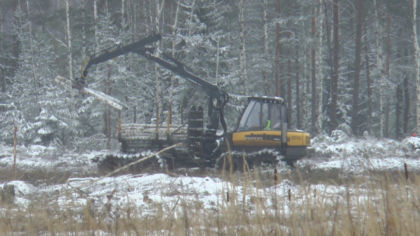 Atmežošana uz Latvijas-Baltkrievijas robežas pirmajā būvdarbu kārtā teju pabeigta