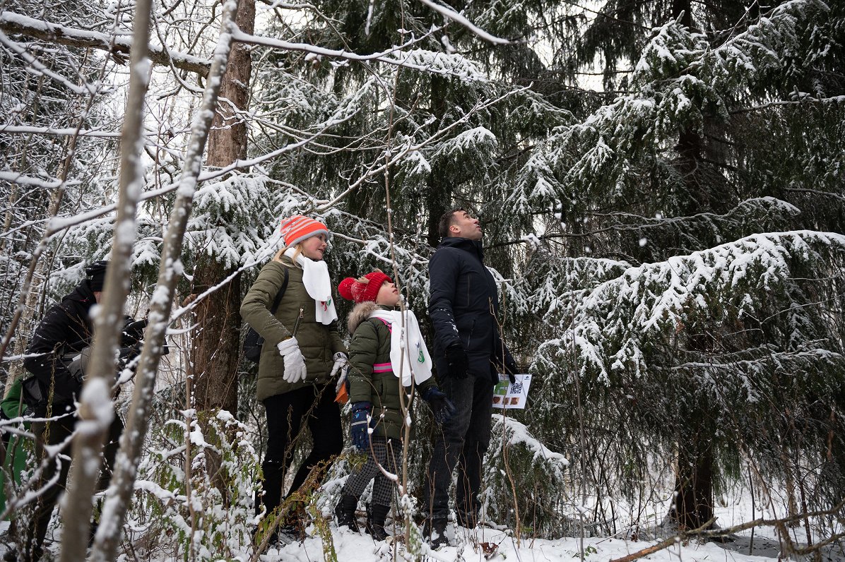 Rīga mayor Mārtiņš Staķis hunts for a Christmas tree