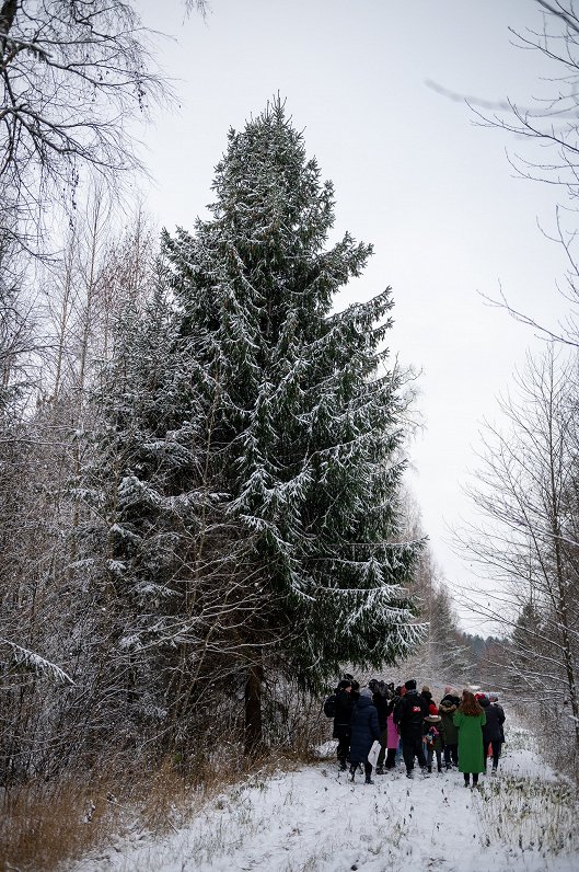Rīga Christmas tree 2022