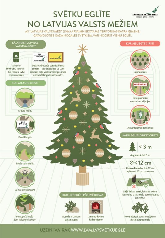 Choosing a Christmas tree from LVM forests