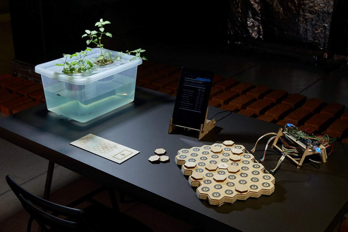 Maijas Demiteres darbs &quot;Tomātu-kartupeļu kalkulators&quot; izstādē “Dekoloniālās ekoloģijas”