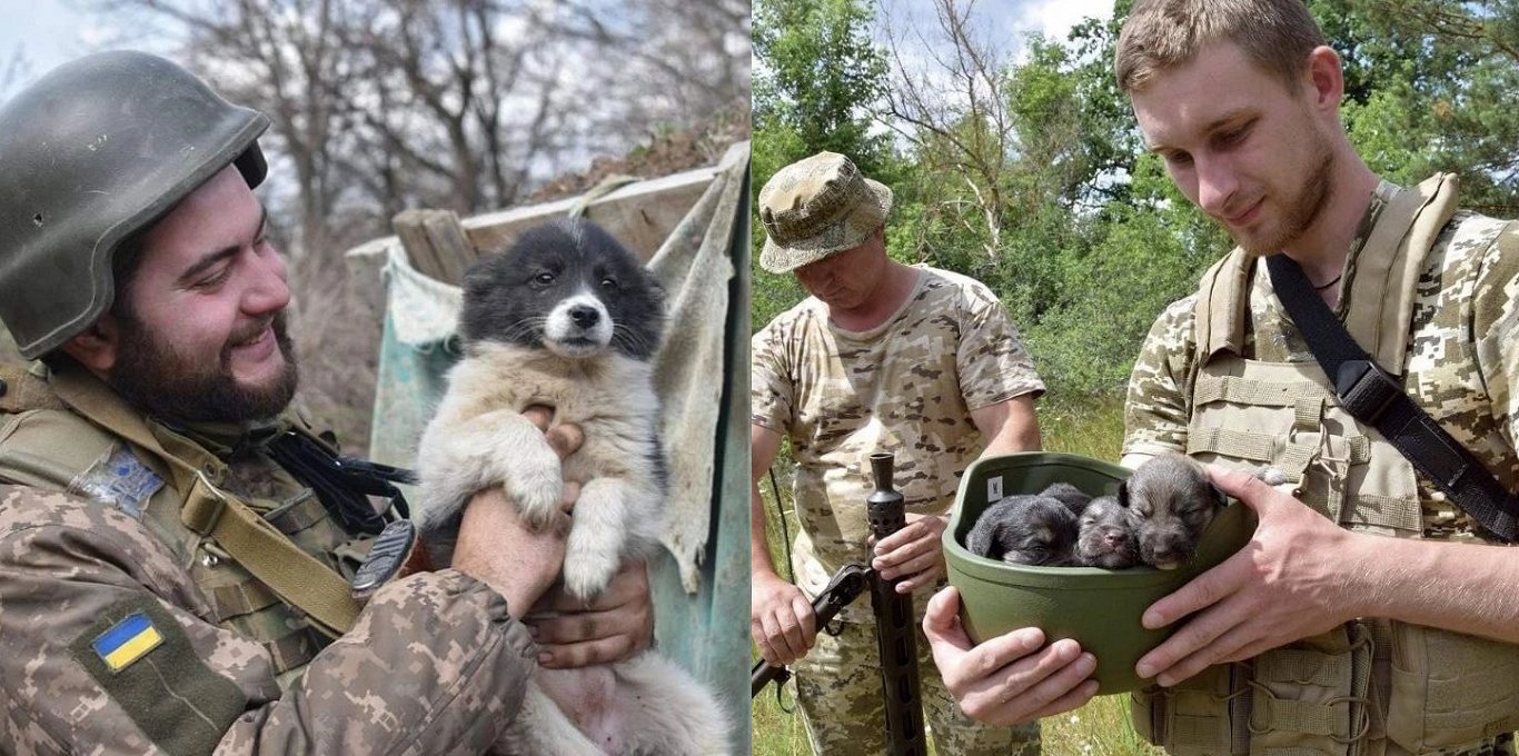 Ukraiņu karavīri ar dzīvniekiem