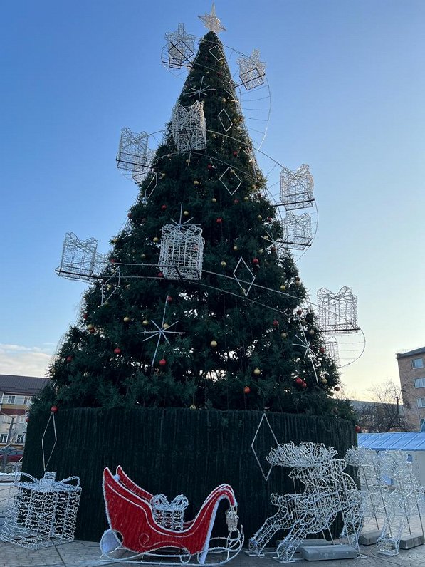 Holidays in Buča – renewal and Christmas tree despite the war / Article