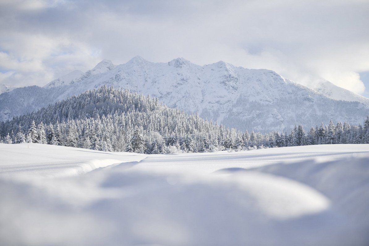 Alpi ziemā. Ilustratīvs attēls