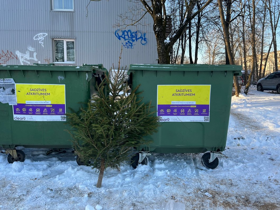 Kā pareizi pēc Ziemassvētkiem atbrīvoties no eglītes?