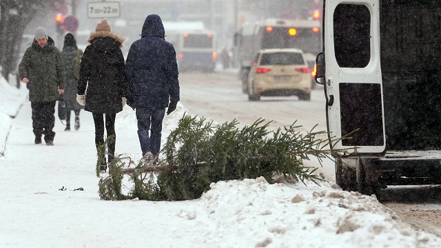 Rīgā Ziemassvētku eglītes izvedīs bez maksas