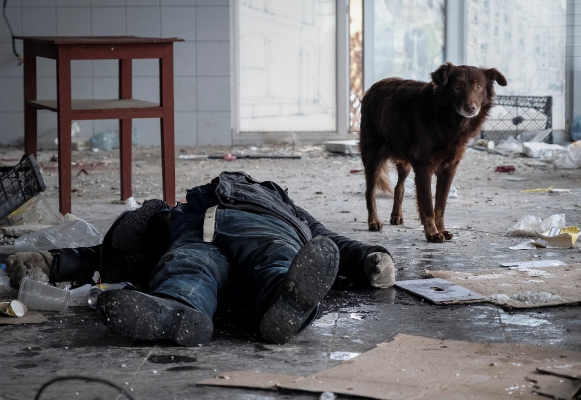 Suns pie bojāgājuša civiliedzīvotāja ķermeņa Bahmutā. 02.02.2023.