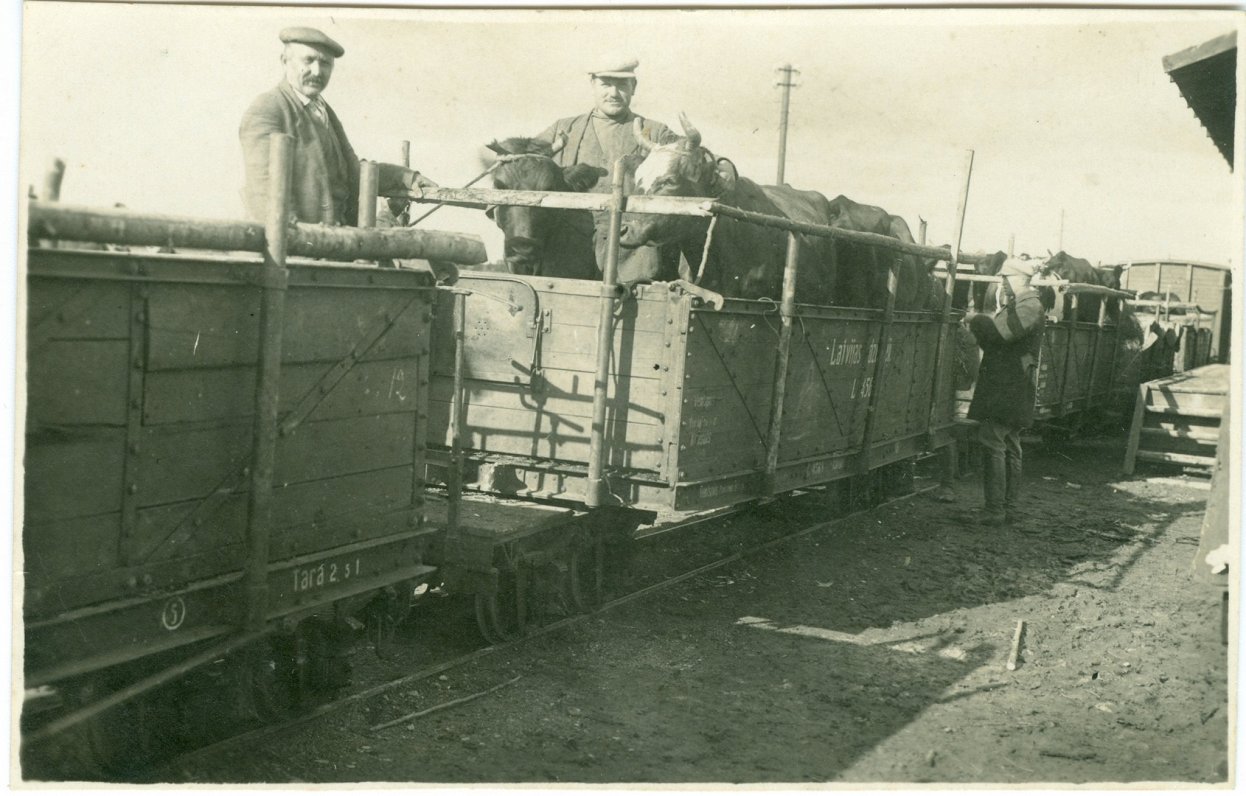 Lopu vešana no Krepliņu (Vandzenes) stacijas uz Talsiem, 1930. gadi. A. Poppa foto Vandzenē.
