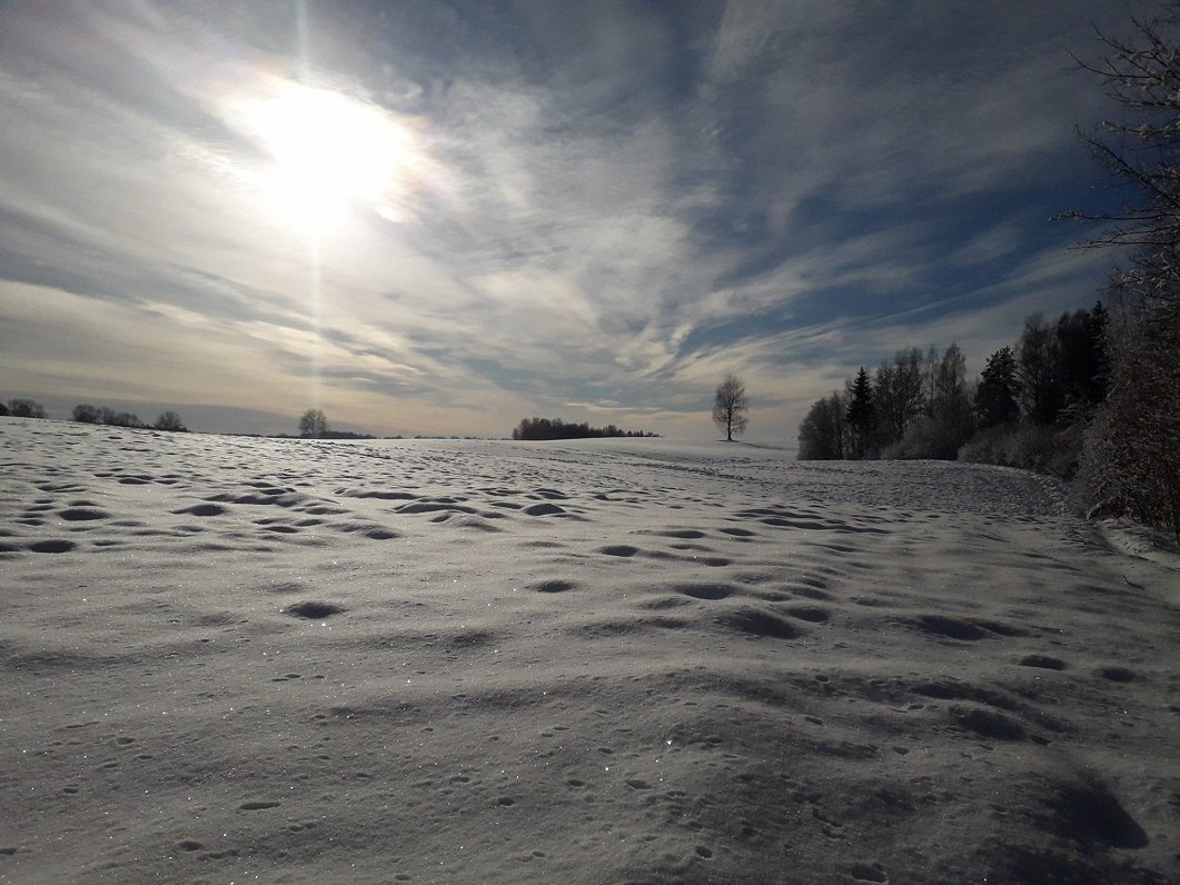 Winter in Cēsis district