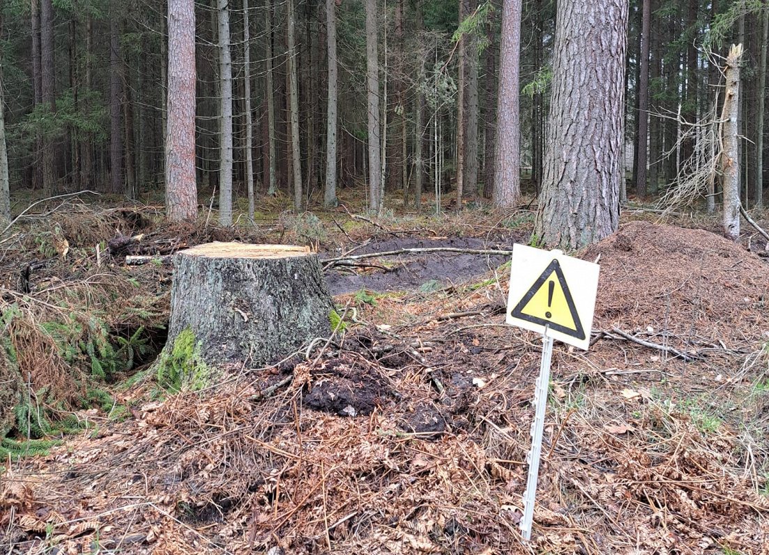 Brīdinājuma zīme par nozāģētu koku krautuvi ceļa malā Olaines novadā, 2023.gada pavasaris