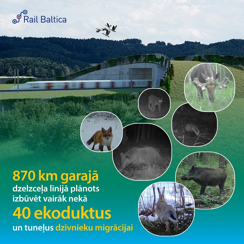 Rail Baltica environmental monitoring