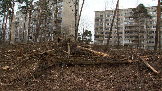 Cilvēkus aicina savākt ciršanas atliekas pēc «Rīgas mežu» darbiem Mežaparkā un Sarkandaugavā