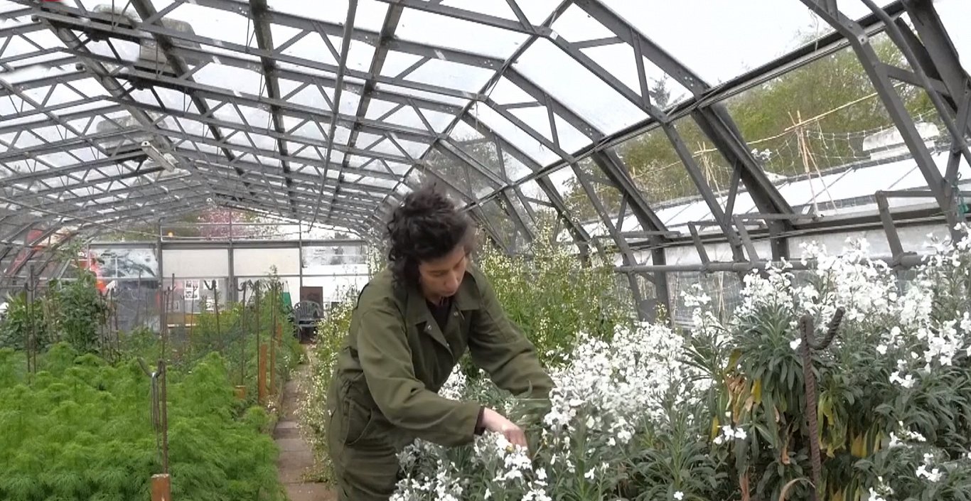 Bærekraftig blomsterbruk blir stadig mer populært i Storbritannia / Artikkel