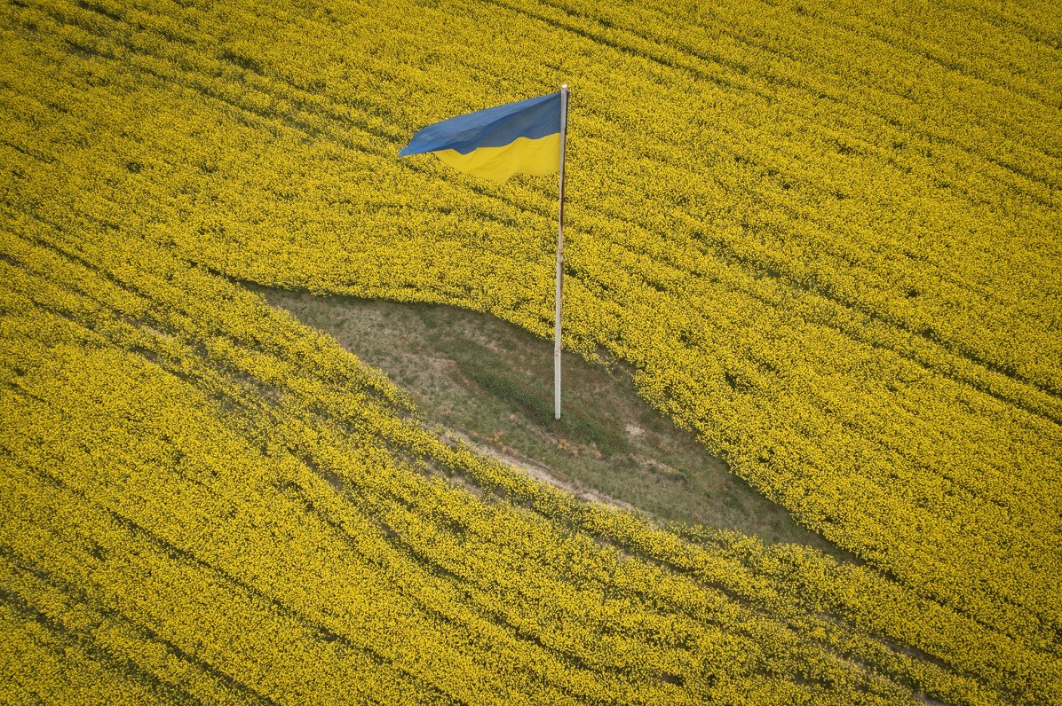 Флаг Украины. Бровары, Киевская область. 17.05.2023