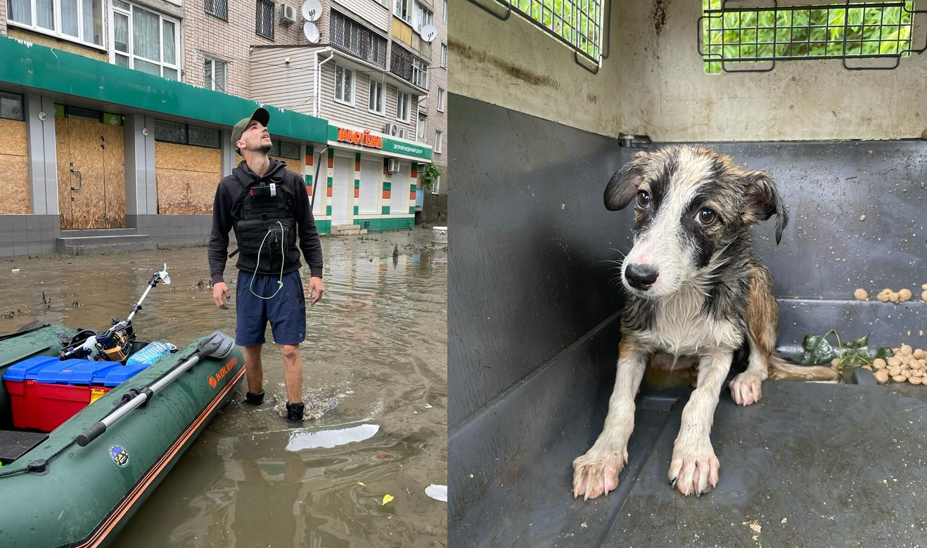 Suņu glābšanas brauciens Hersonā pēc postošajiem plūdiem saistībā ar Kahovkas HES dambja uzspridzinā...