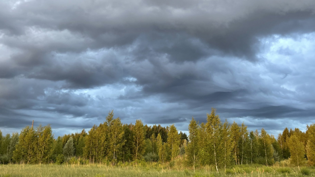 Климат Латвии — Википедия