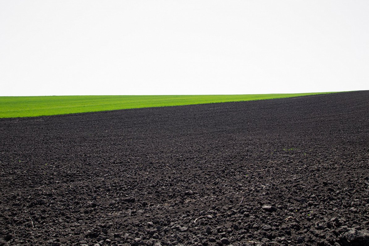 Pagājušajā gadā Latvijā saruka lauksaimniecības zemes darījumu skaits / Raksts