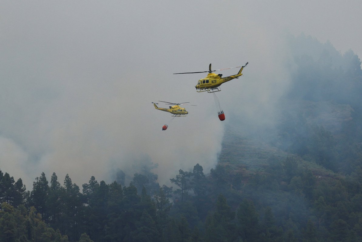 Meža ugunsgrēku dzēšana Palmas salā