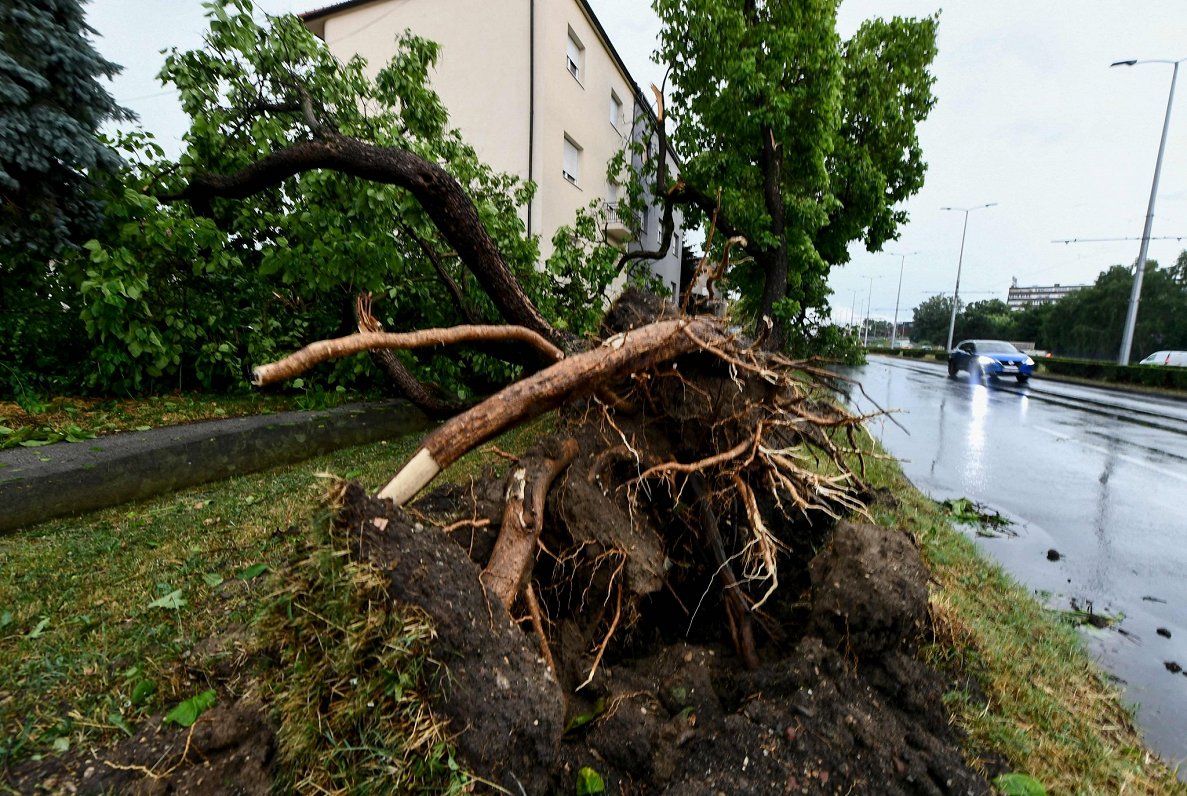 Vētras sekas Zagrebā, Horvātijā