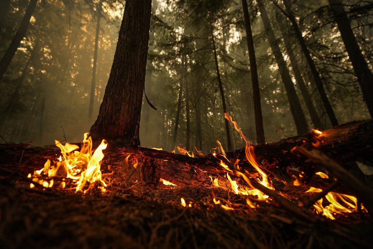 Kanādā plosās savvaļas ugunsgrēki
