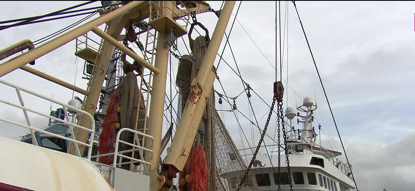 Oppvarming av Nordsjøen endrer fangster av nederlandske fiskere / Artikkel