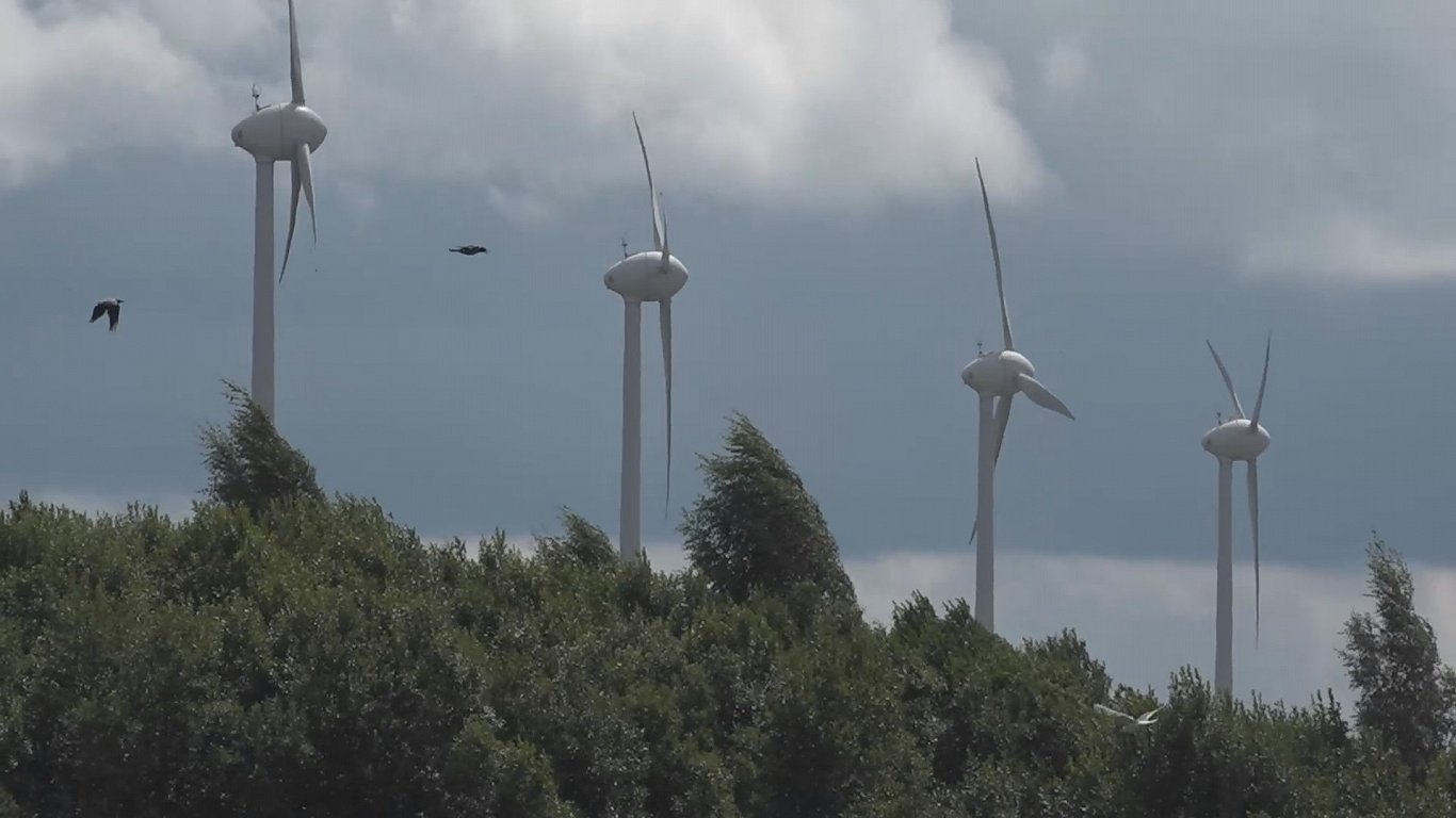 Vēja ģeneratoru parks